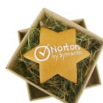 Piernik z logotypem w kształcie gwiazdy z lukrowanym: Norton by Symantec, w pudełku na sianku.